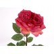 Fleur artificielle rose Empereur H 81 cm Amadeus