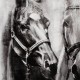 Toile Chevaux noirs et blancs 80 x 80 cm Imageland